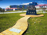 丽江天华矿业集团