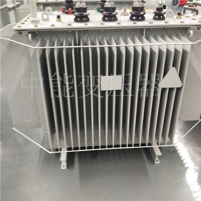 丽江S20-800KVA变压器