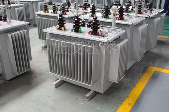 丽江S22-100KVA/10KV/0.4KV变压器